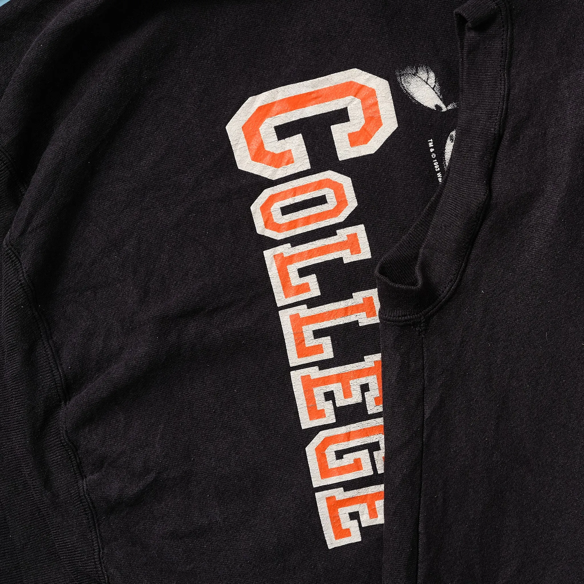 1993 Waynesburg College Looney Tunes Sweater Large