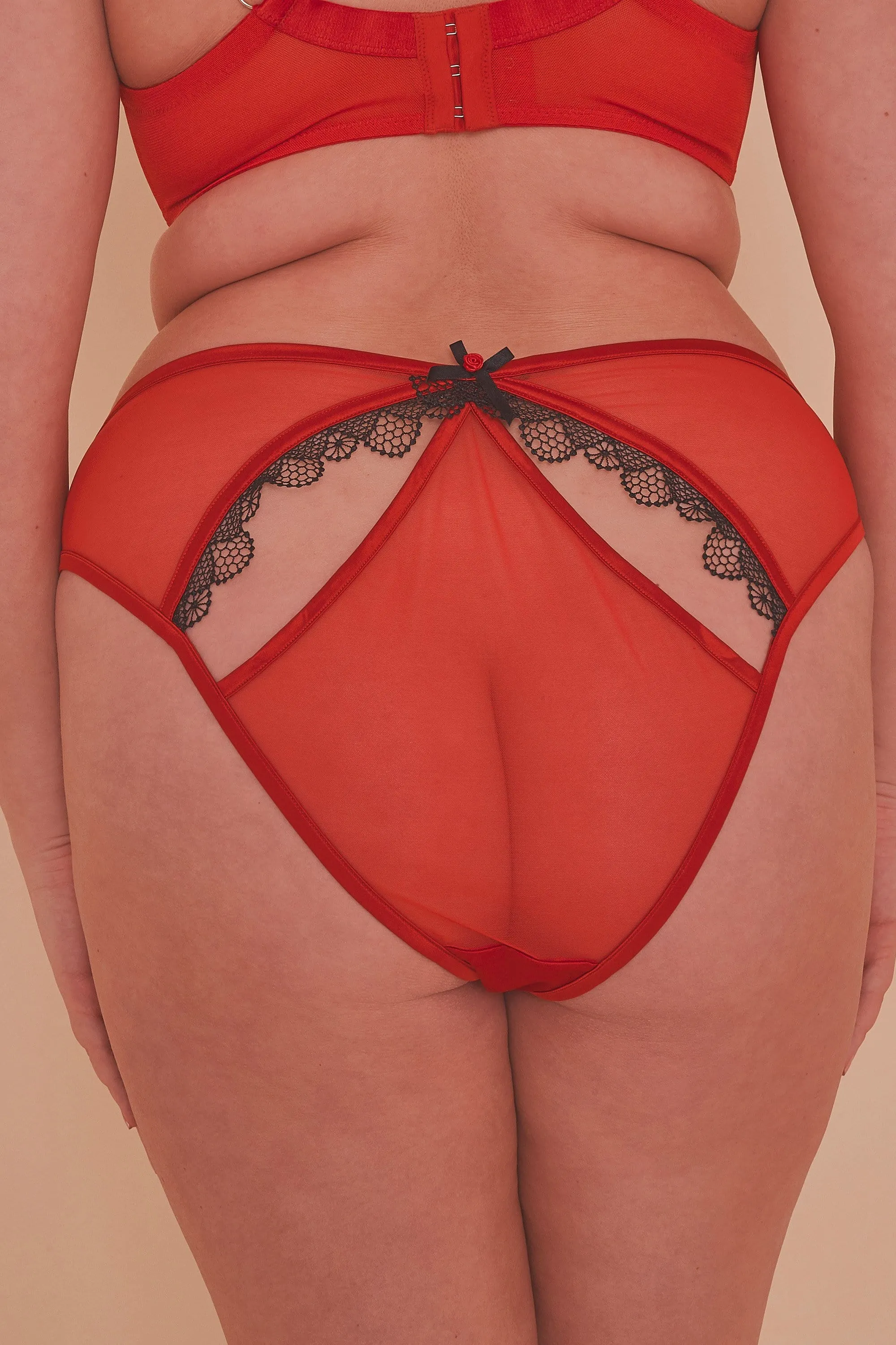 Arlene Curve Red Satin Black Lace Brief