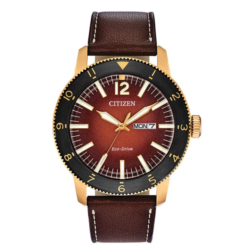 Citizen Vintage Brycen watch