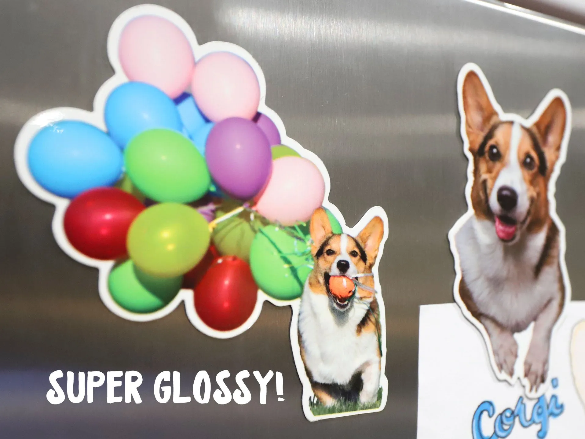 Corgi On Fleek Magnet Pack [2 Magnets]