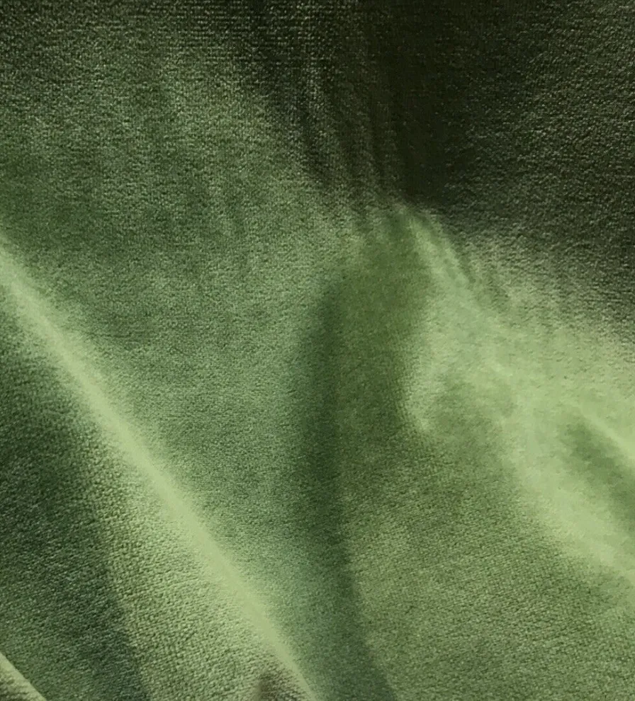 Designer Velvet Upholstery Fabric - Soft Leaf Green